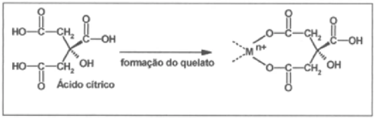 Figura 2.4- Representação da quelação de cátions metálicos pelo ácido cítrico [SOUZA, 2007]