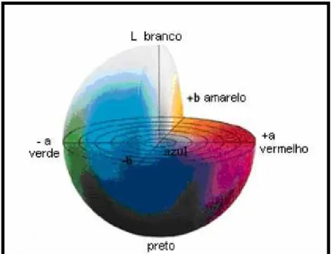 Figura 1: Representação gráfica do sistema CIELab e CIELCh 