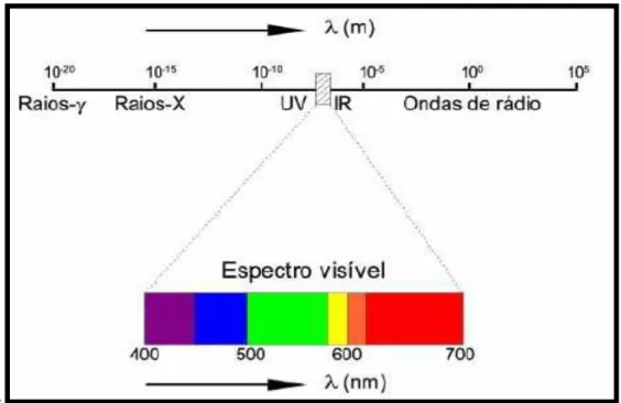 Figura 9. A luz visível no espectro eletromagnético  