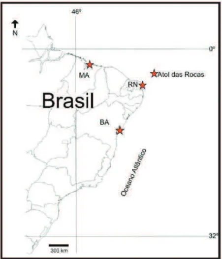 Figura  2.  Mapa  com  pontos  de  coleta  dos  exemplares  da  família  Gobiidae.  Litoral  do 