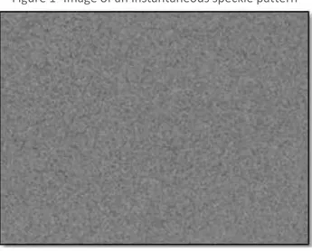Figure 1- Image of an instantaneous speckle pattern 