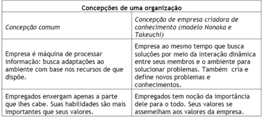 FIGURA 1  –  Concepções de uma organização 