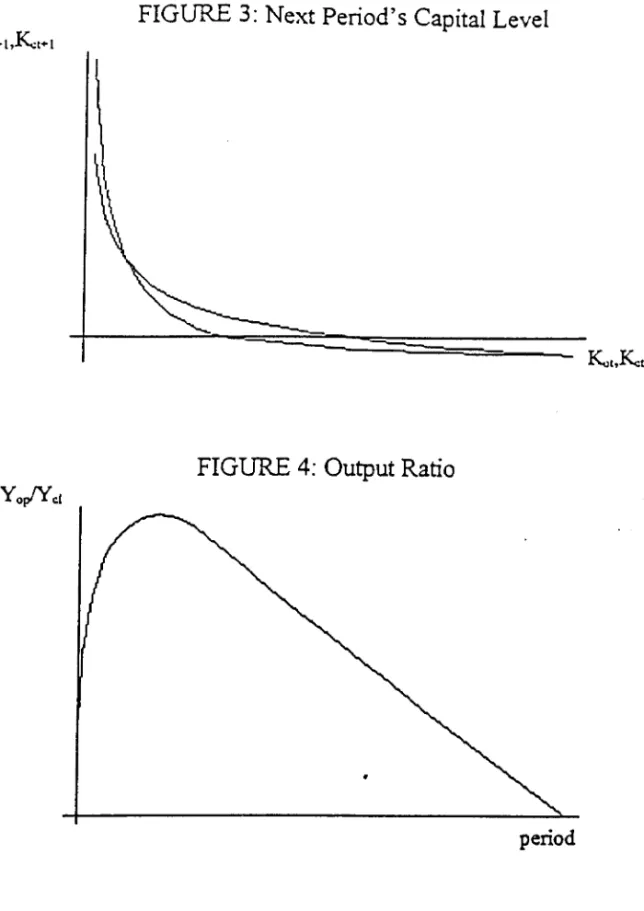 FIGURE 3:  Next Period's Capital LeveI 