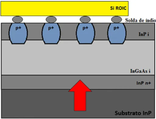 Figura 1 - Estrutura básica de um fotodiodo de InGaAs 