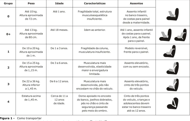 Figura 1 - Como transportar