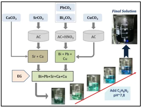 Figura 1- Schematic experimental route to produce (Bi,Pb)-2223 polymeric resin by  Pechini method 