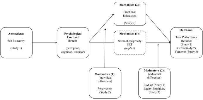 Figure 4 – Integrative model of the studies  