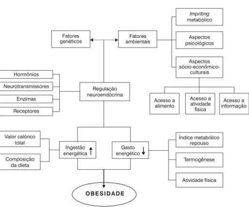 Figura 1 - Modelo causal da obesidade