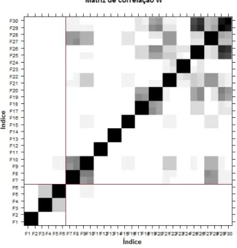 Figura 2.9: Matriz de correlação W da segunda fase da SSA sequencial.