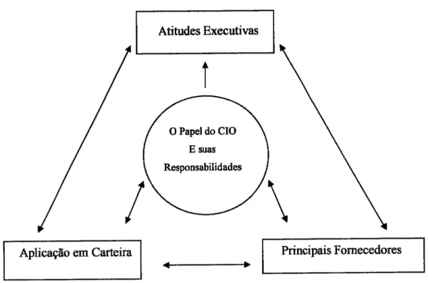 Figura  4.2  -  Influencias na  accflo do  CIO  [Smaltz  et  al, 20047