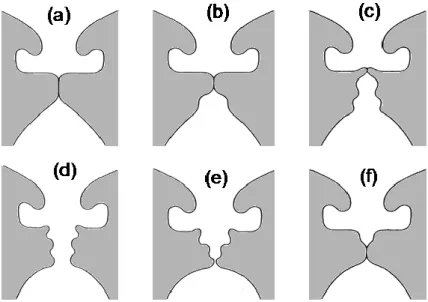 Figura 2.3 - Representação de um ciclo vibratório das pregas vocais [1]. 