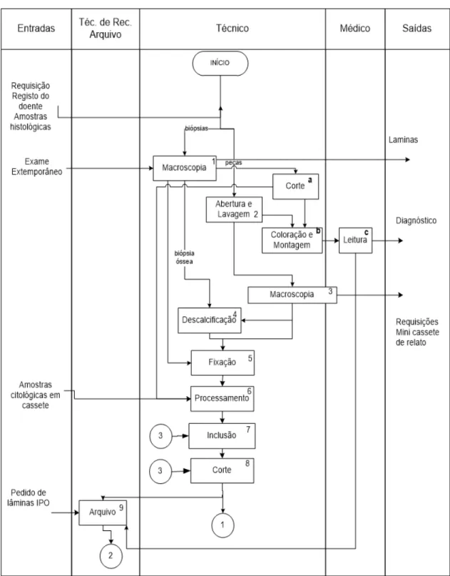 Figura 10 – Processo de trabalho da Unidade de Histologia e Histoquímica (Serviço de Anatomia Patológica, 2015) 