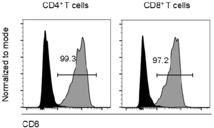 Figure  2-Virtually  all  murine  CD4 +   and CD8 + T  cells  express  CD6 .  C57Bl/6  splenocytes  were  stained  for  CD6