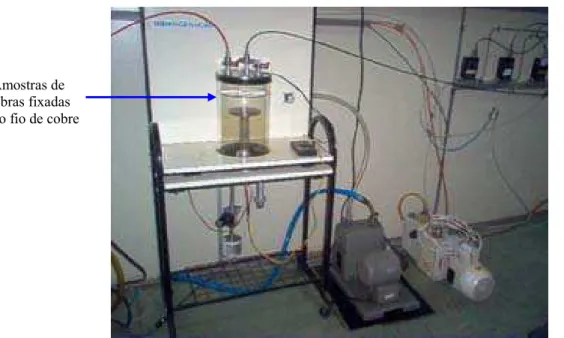 Figura 18 - Equipamento de plasma utilizado para promover modificações nas fibras e pinos