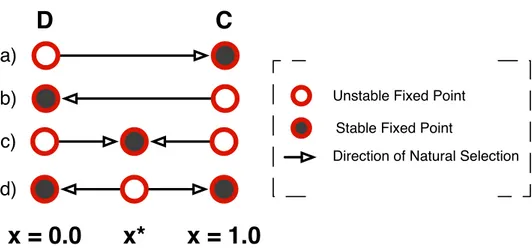 Figure 3.1: Selection dynamics of two person games that result from a fre- fre-quency dependent selection in a populations composed by individuals of two strategies C and D.