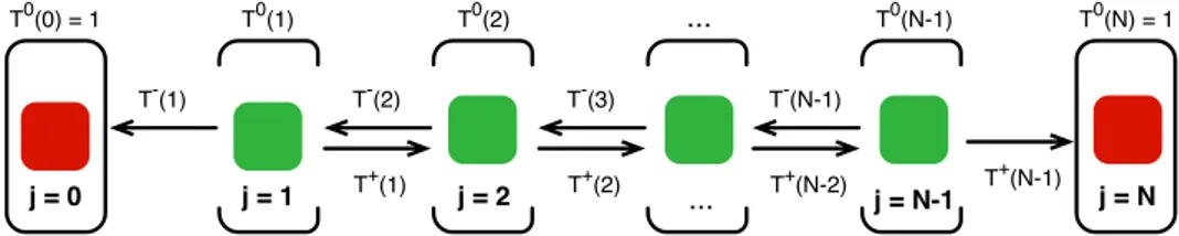Figure 3.3: Markov chain describing the evolutionary process of two strate- strate-gies that occurs in finite population