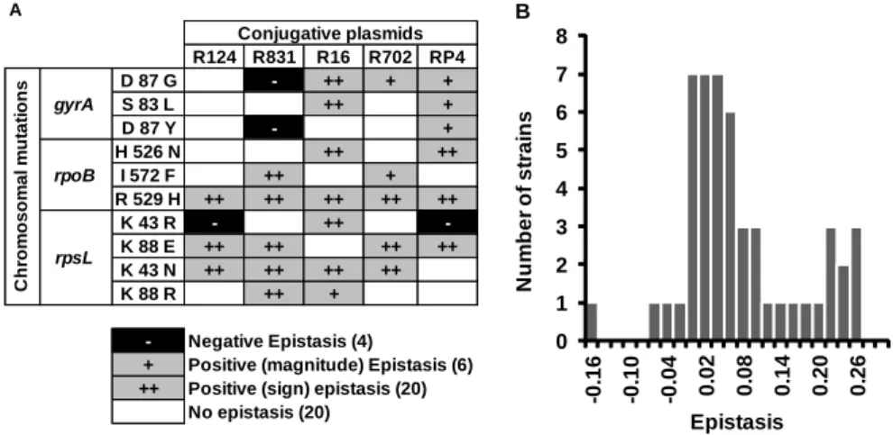 Figure  1.  Epistasis  between  antibiotic  resistance  mutations  and  conjugative  plasmids