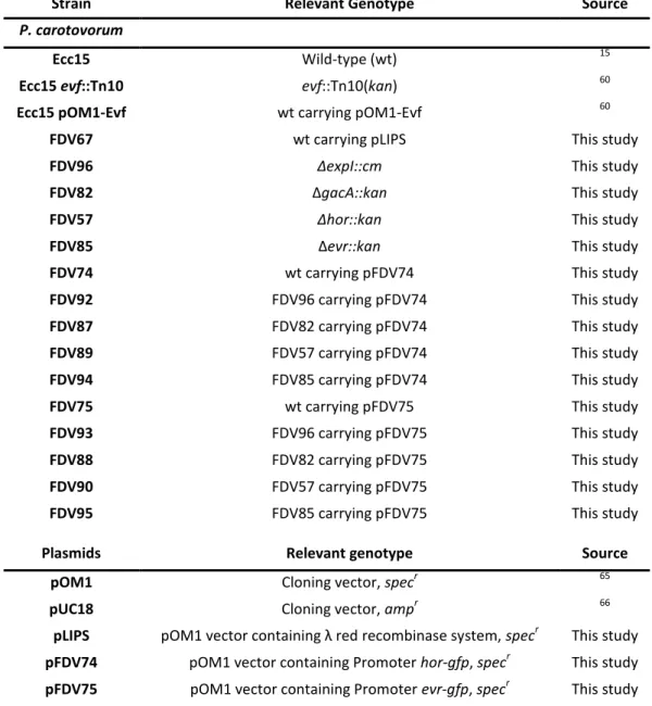Table 1 – Strains and plasmids used in this study. 