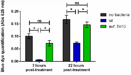 Figure  5  –  Estimation  of  food  uptake  by  D.  melanogaster  larvae  after  infection  with  Ecc15
