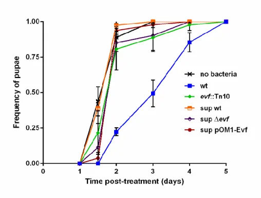 Figure  6  –  Effect  of  bacterial  supernatants  in  the  development  of  D.  melanogaster  larvae