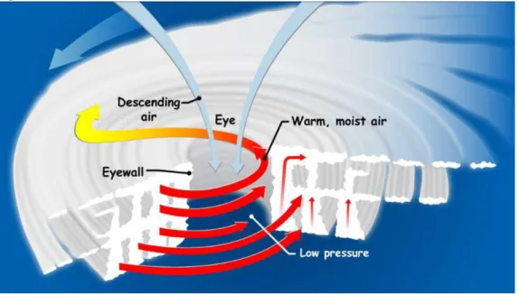 Figure 1: Structure of a tropical cyclone  
