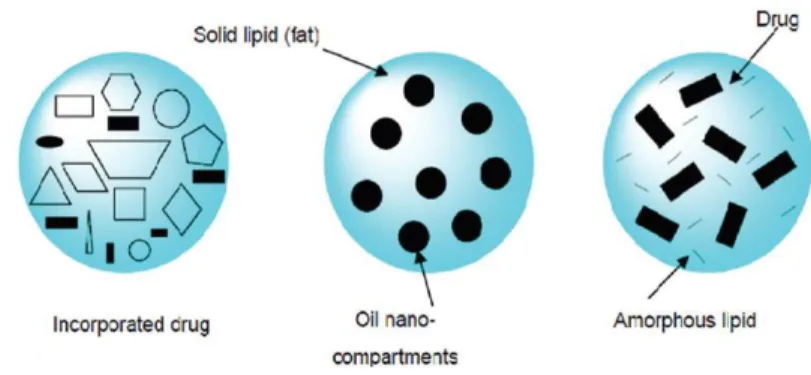 Figure 2 – Different type of NLC. From left to right:  Highly  imperfect type (I); multiple type (II); amorphous type (III)(28)