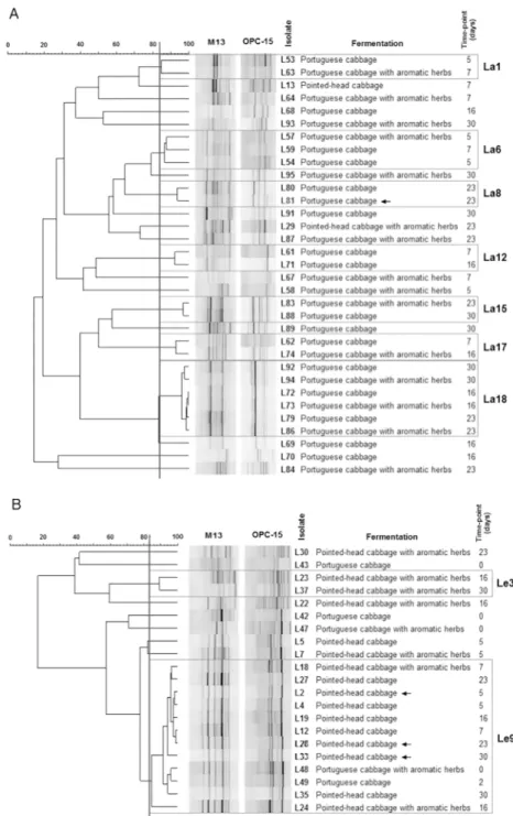 Fig 4. Dendrograms built using the PCR-fingerprinting profiles of Lactobacillus (A) or Leuconostoc (B) isolates.