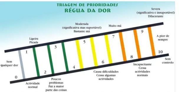Figura 1 – Régua da Dor