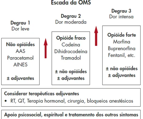 Figura 3 – Escada analgésica do controlo de Dor (OMS, 2010)