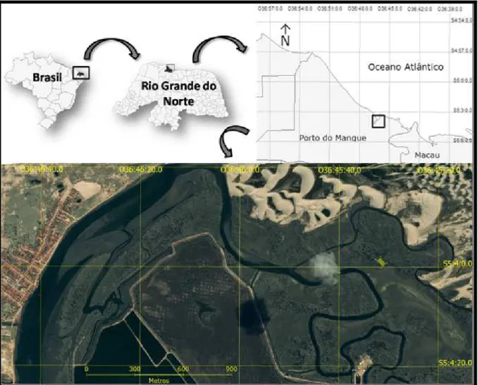 Figura 3 - Local de estudo e imagem de satélite do município de Porto do Mangue – RN. Fonte: QuickBird