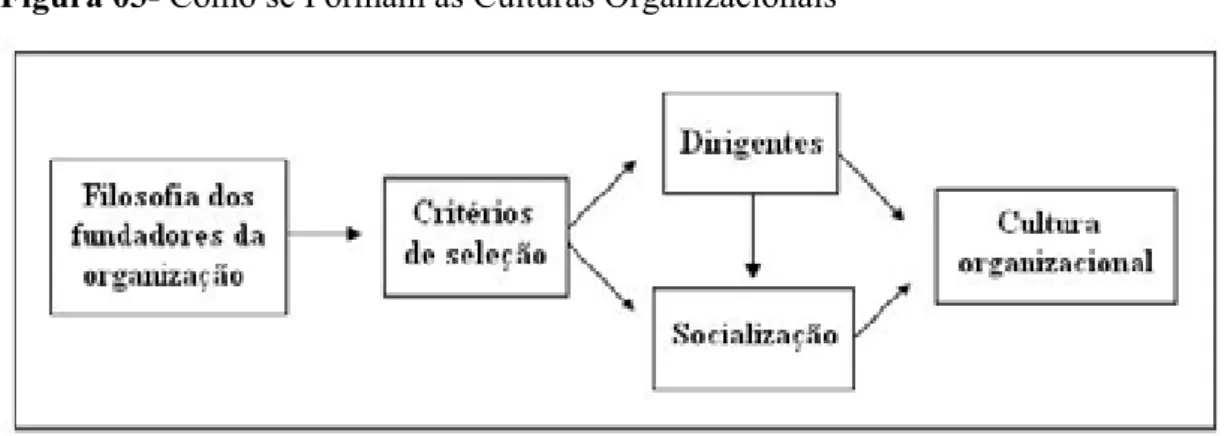 Figura 03- Como se Formam as Culturas Organizacionais         
