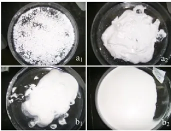 Fig. 2.   Aspect of the powders produced by kneading at the end of the preparation. 