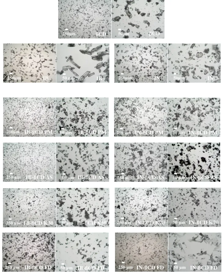 Fig. 3.   Photographs of the powders considered in the study: raw materials and products  from  the  physical  mixture  containing  the  drug-βCD  complex,  as  observed  by  optical  microscopy