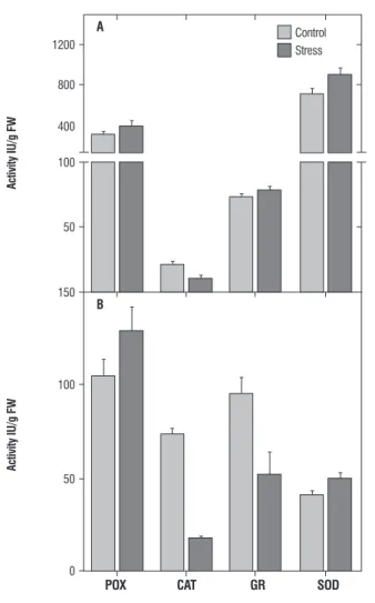 figure 1. Levels of antioxidant enzymes of Horse gram seedlings exposed to  heat at 45°C for 2.5 h (A) and 600 mM NaCl (B)