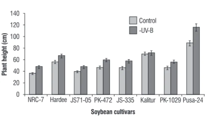 figure 4. Effect of exclusion of solar UV-B on plant height in soybean cultivars. 