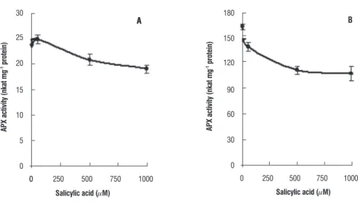 figure 4. The activity of APX in the leaf (A) and root (B) tissues of seven day old wheat plants grown with different concentrations of SA