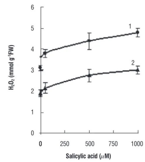 figure 8. H 2 O 2  content measured in the leaf (1) and root tissues (2) of control  and SA co-cultivated wheat plants.