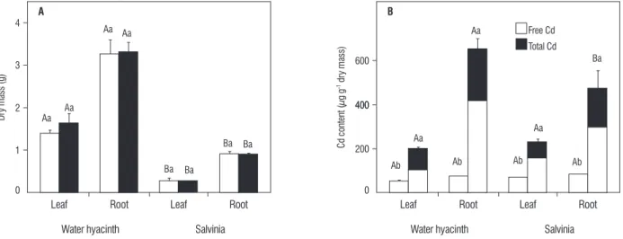 figure 1. Dry mass and Cd concentration in leaves and roots of water hyacinth and salvinia after exposure to 0 ( ) and 5 µM ( ) Cd for 6 days