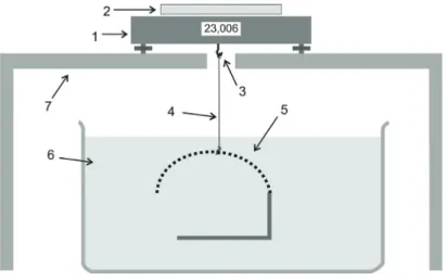 figure 1. Hydrostatic weighing system components: 1- balance, 2- balance pan, 3- hydrostatic weighing hook, 4- nylon thread, 5- water immersed sample holder,  6- water container, 7- balance base.