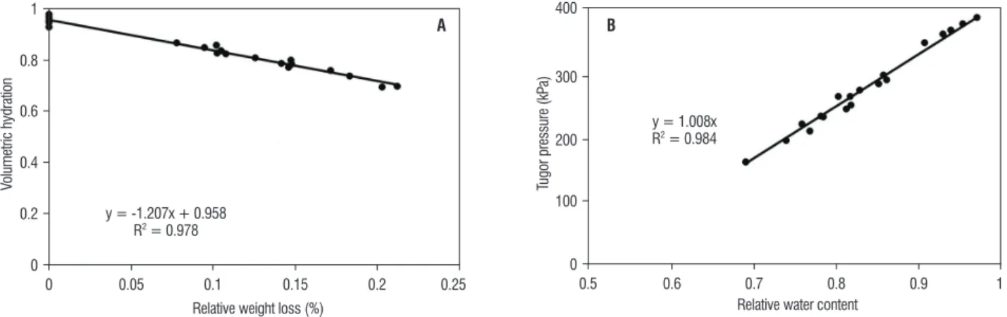figure 3. volumetric hydration of kale leaves as a function of water loss (A) and as a function of the relative water content (B).