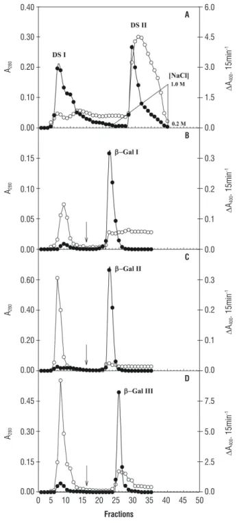 Figure 2.  Electrophoresis in polyacrylamide gel in native conditions (gradient  5-15%), in acidic pH