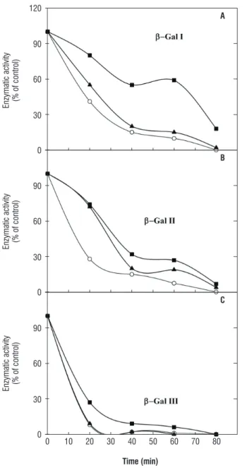 Figure 5. Thermal inactivation of β-gal I, β-gal II and β-gal III of cowpea  seedling stems [Vigna unguiculata (L.) Walp.] cv