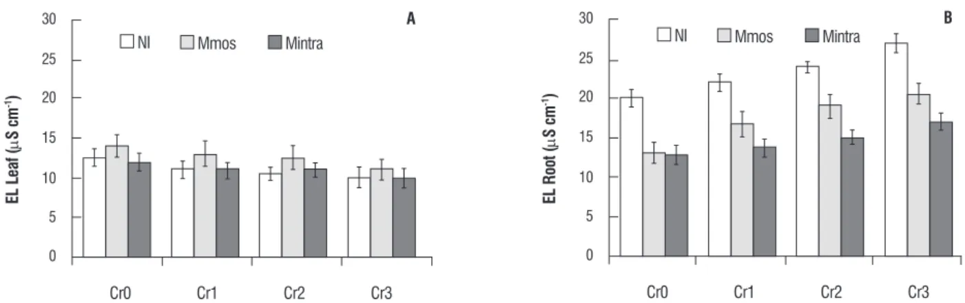 figure 3. Effects of chromium concentrations on electrolyte leakage (EL) in leaf (A) and root (B) of Capsicum annuum L