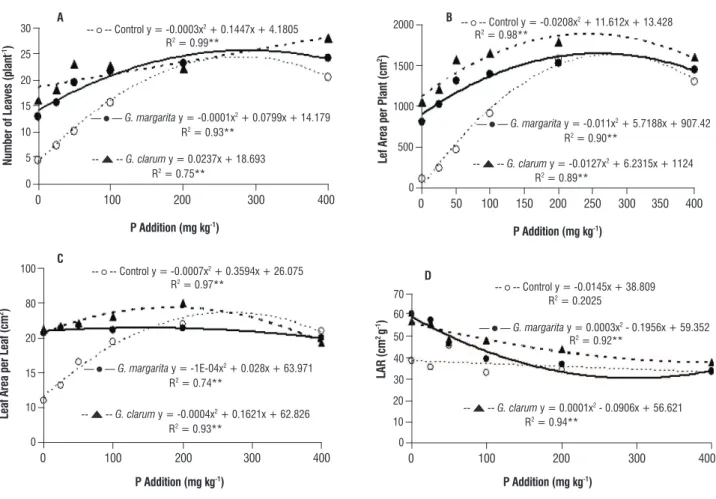 table 1. The rate of photosynthesis in physic nut plants due to the inoculation  of arbuscular mycorrhizal fungi at different P levels