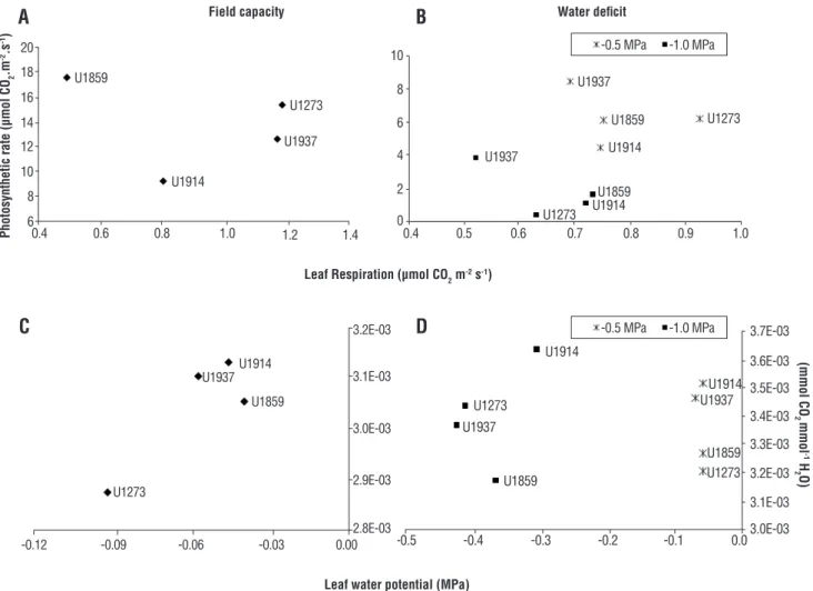 Figure 3. Performance of OxG hybrids subjected to field capacity, and moderate to severe water deficit conditions to some matched  physiological variables