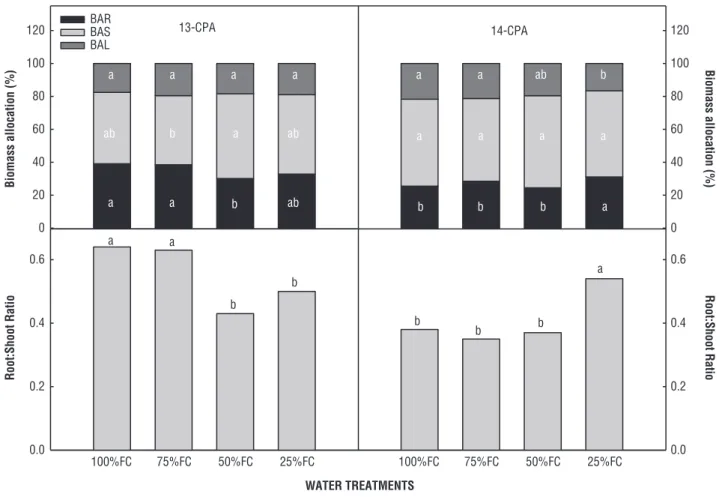 Figure 2. Biomass allocation to roots (BAR), stem (BAS), and leaves (BAL) and root to shoot ratio in two genotypes of Barbados cherry  cultivated under four water treatments in greenhouse conditions