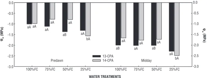 Figure 3. Water potential (Y w ) in two genotypes of Barbados cherry cultivated with four water treatments in greenhouse conditions