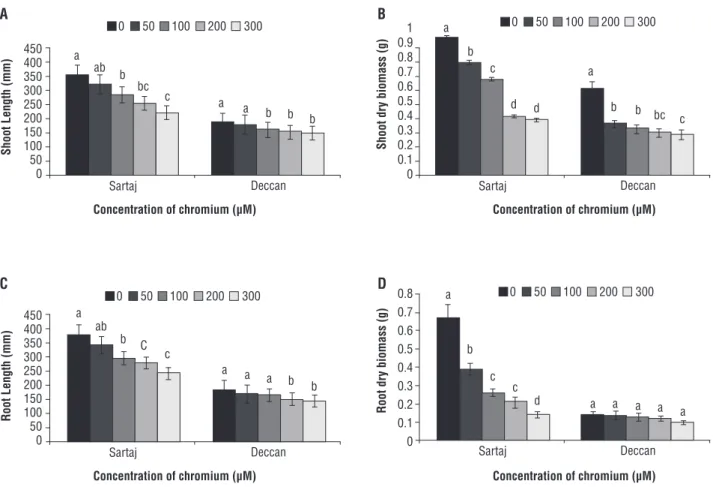 Figure 1. Changes in (A) shoot length, (B) root length, (C) shoot dry biomass, and (D) root dry biomass under different concentrations  of Cr (VI) (0, 50, 100, 200 and 300 µM)