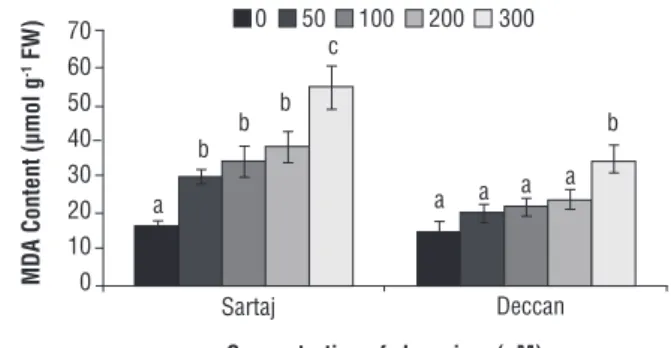 Figure 3. Generation of hydrogen peroxide in Sartaj and Deccan  under different concentrations of Cr (0, 50, 100, 200 and 300  µM)
