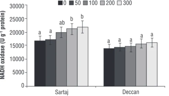 Figure 8. Assay of ascorbate peroxidase in Sartaj and Deccan under  different concentrations of chromium (0, 50, 100, 200 and 300 µM)